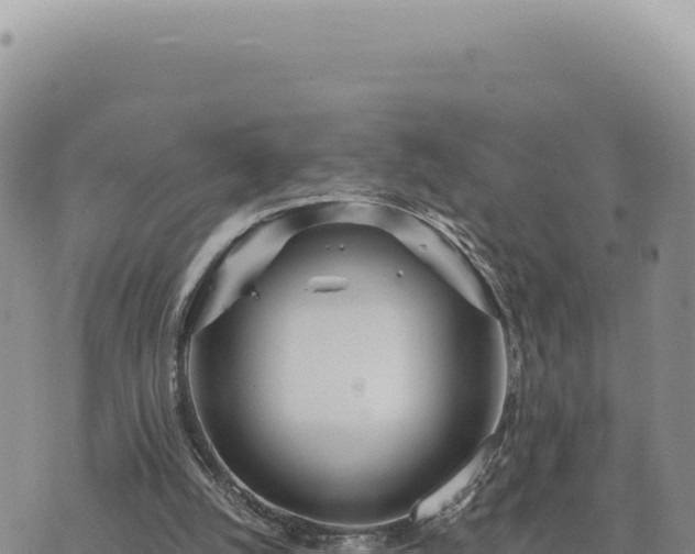 X0000073710056200608101849