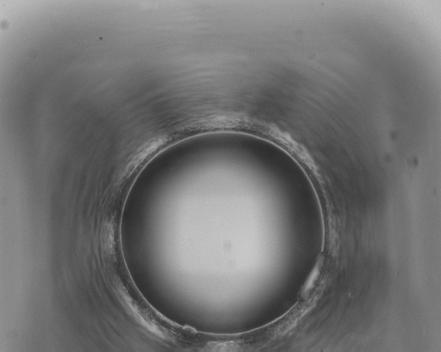 X0000073710057200608101849