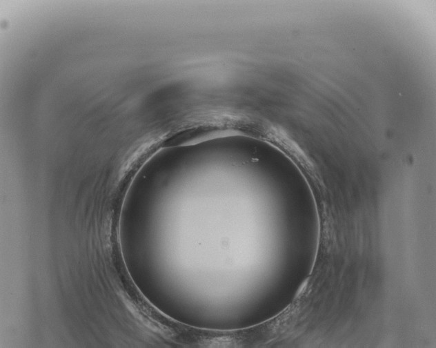 X0000073710058200608101849