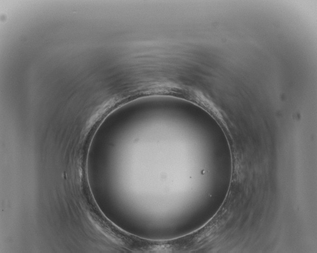 X0000073710059200608101849