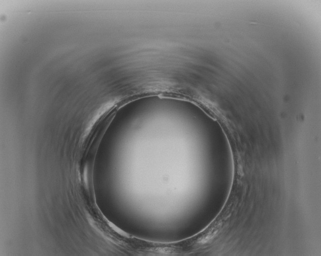 X0000073710060200608101849