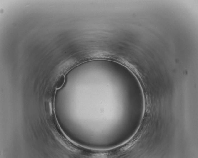 X0000073710061200608101849