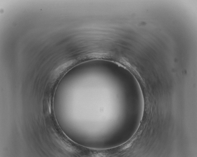 X0000073710062200608101849