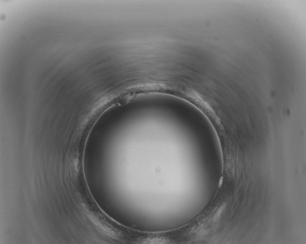 X0000073710063200608101849