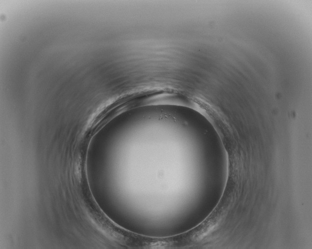 X0000073710064200608101849