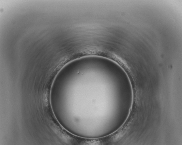 X0000073710065200608101849