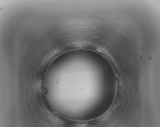 X0000073710066200608101849