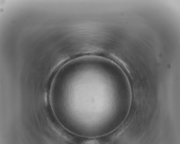 X0000073710067200608101849