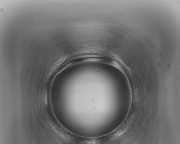 X0000073710068200608101849