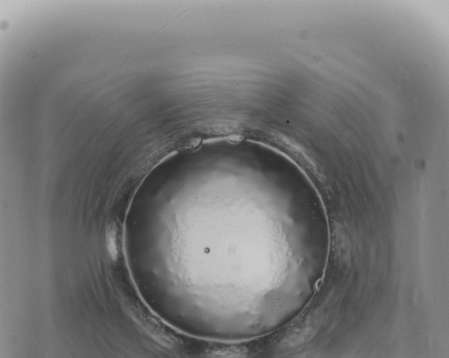 X0000073710069200608101849