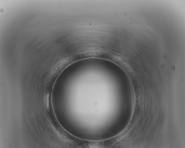 X0000073710070200608101849