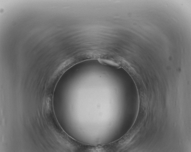 X0000073710071200608101849