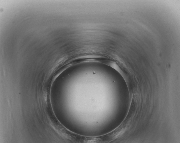 X0000073710072200608101849