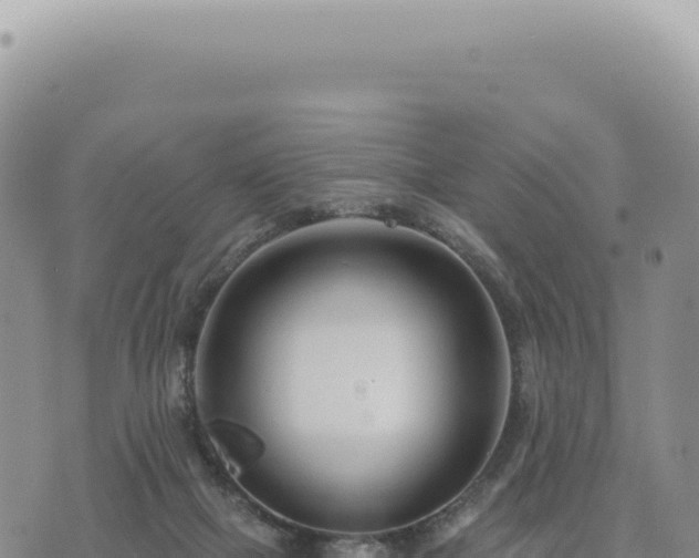 X0000073710073200608101849