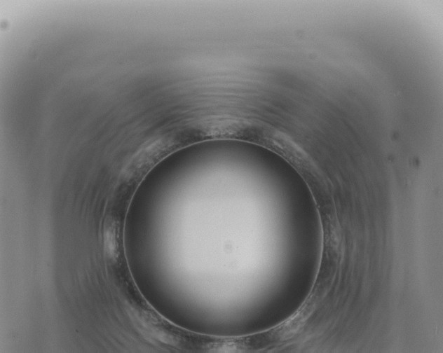 X0000073710074200608101849