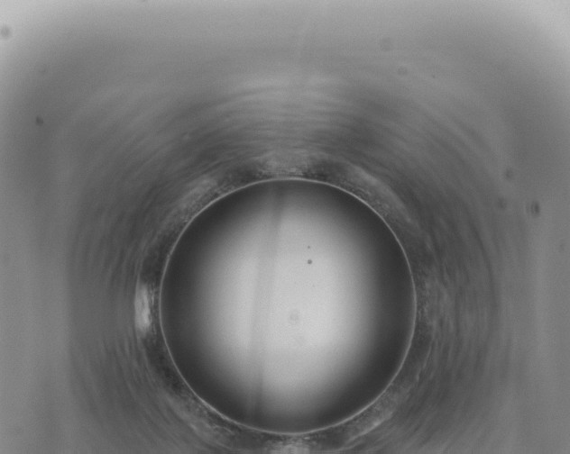 X0000073710075200608101849