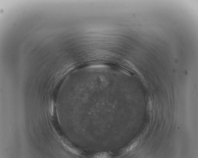 X0000073710076200608101849