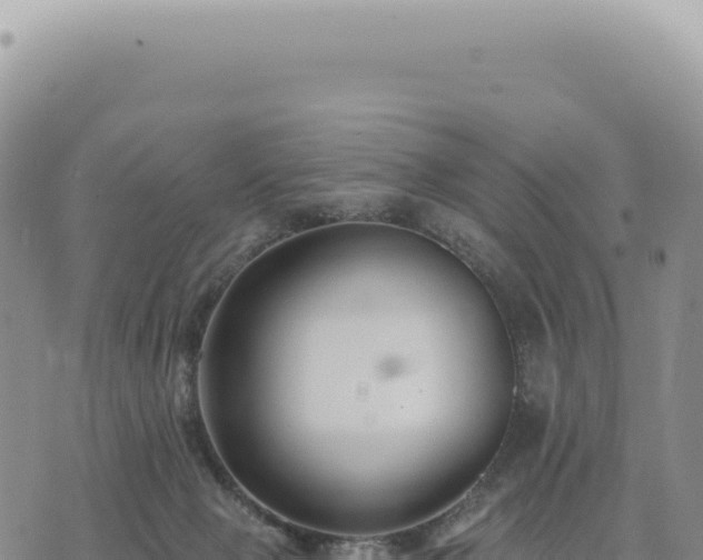 X0000073710077200608101849