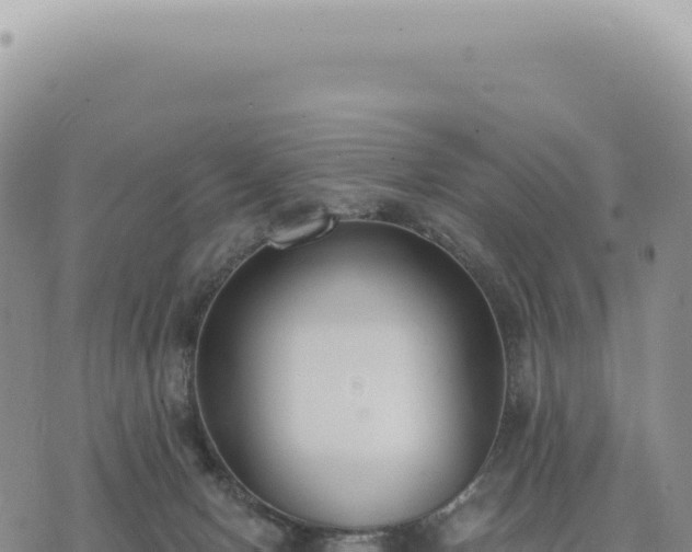 X0000073710078200608101849