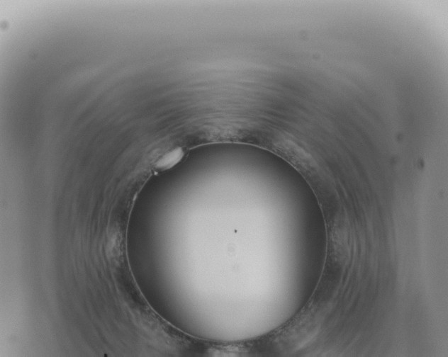 X0000073710079200608101849