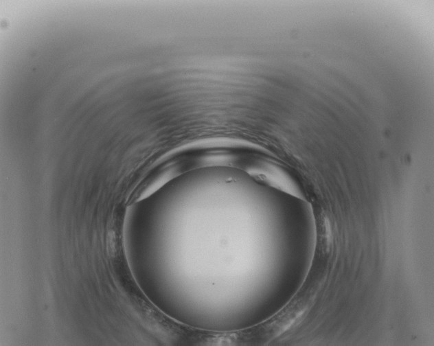 X0000073710080200608101849