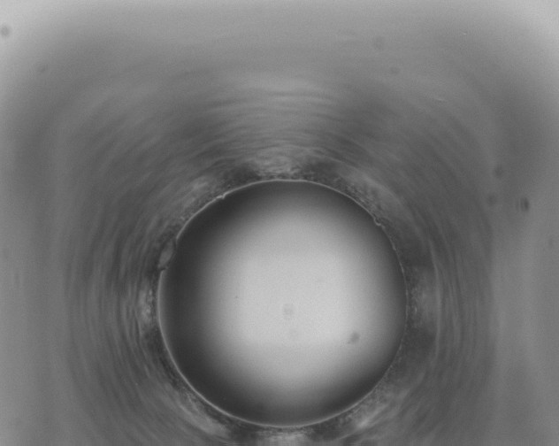 X0000073710081200608101849