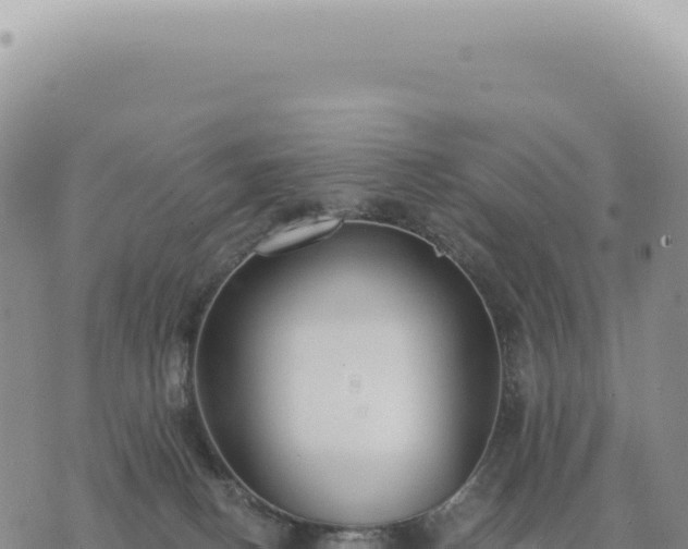 X0000073710082200608101849