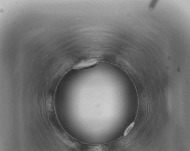 X0000073710083200608101849