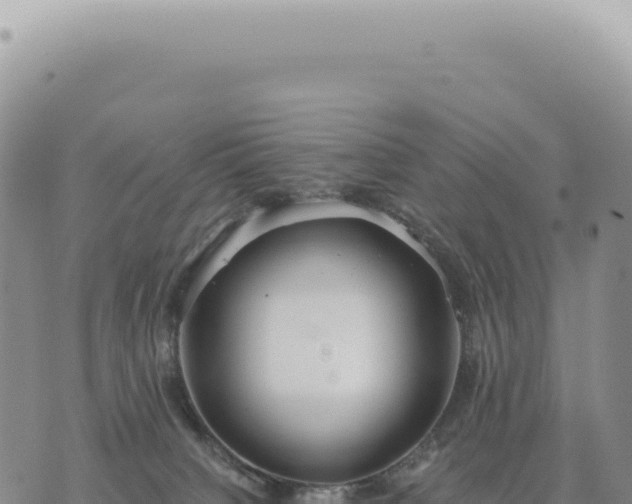 X0000073710084200608101849