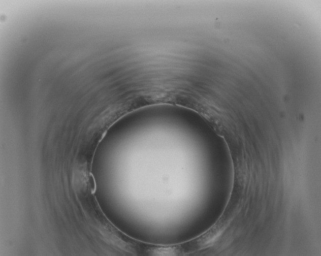 X0000073710085200608101849