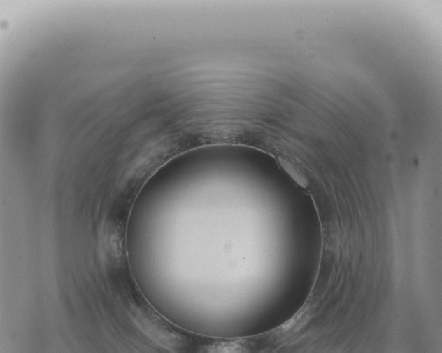 X0000073710086200608101849