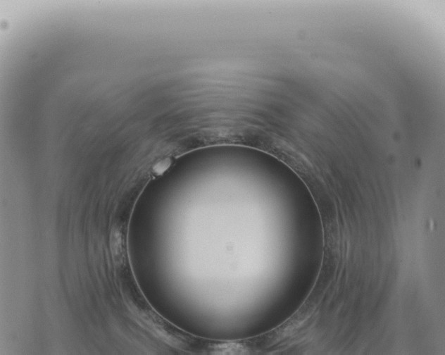 X0000073710087200608101849