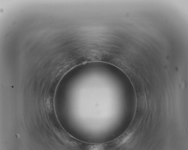 X0000073710088200608101850