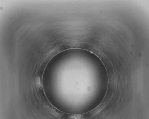 X0000073710089200608101850