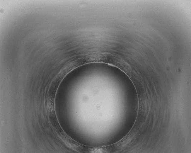 X0000073710091200608101850