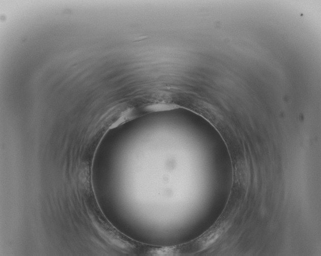 X0000073710092200608101850