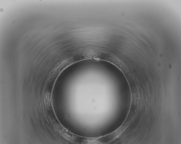 X0000073710093200608101850