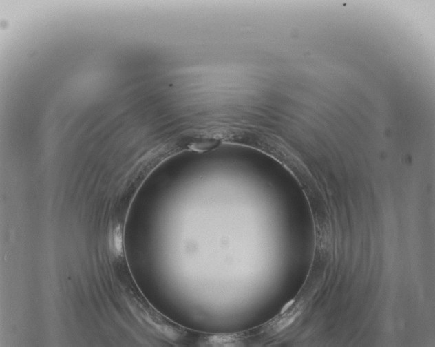 X0000073710095200608101850