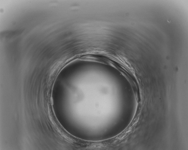 X0000073710097200608101849