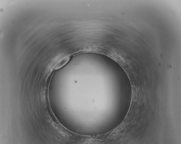 X0000073710098200608101849