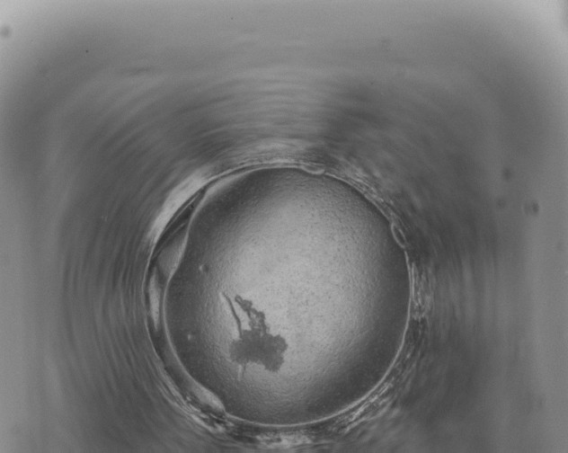 X0000073710099200608101849