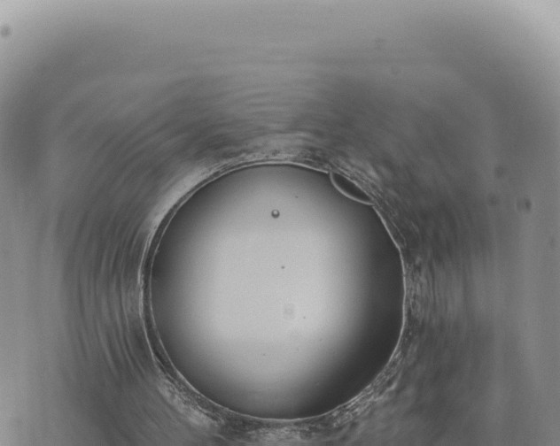 X0000073710100200608101849