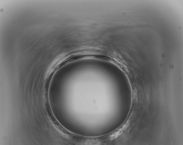 X0000073710101200608101849