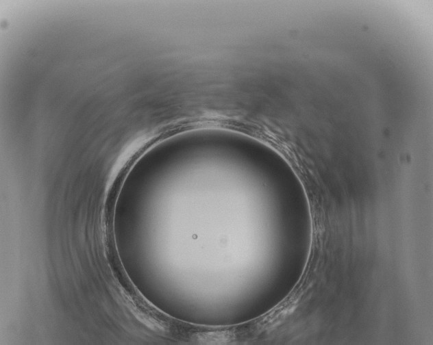 X0000073710102200608101849