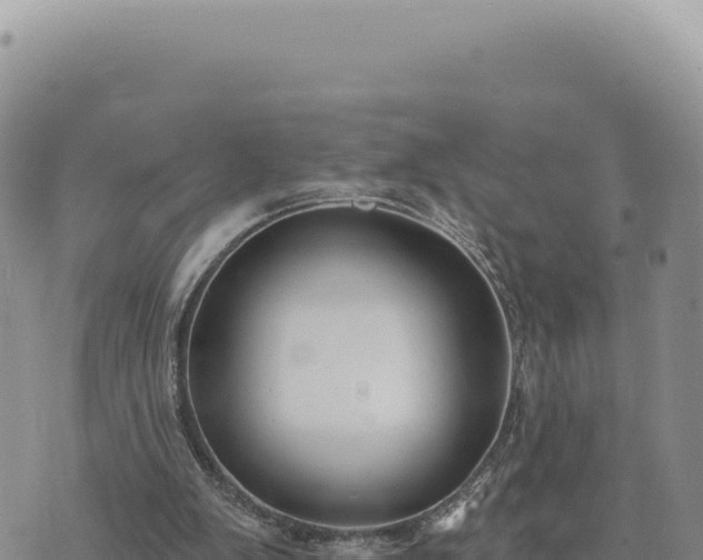 X0000073710103200608101849