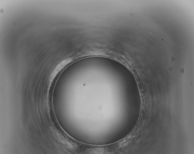 X0000073710104200608101849