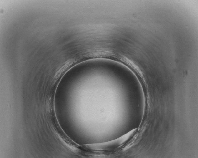 X0000073710105200608101849