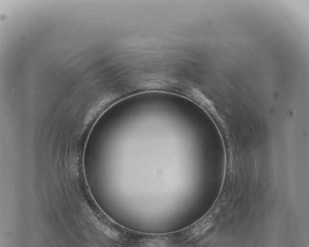 X0000073710106200608101849