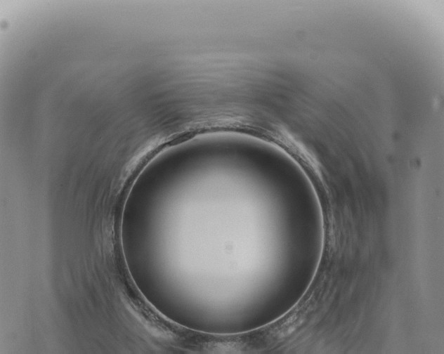 X0000073710107200608101849