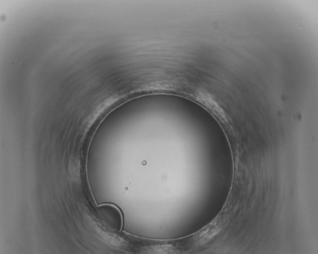 X0000073710108200608101849